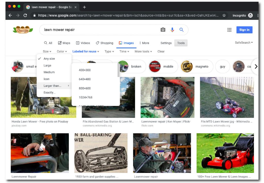 Screenshot of a Google image page, with search results and window showing size options