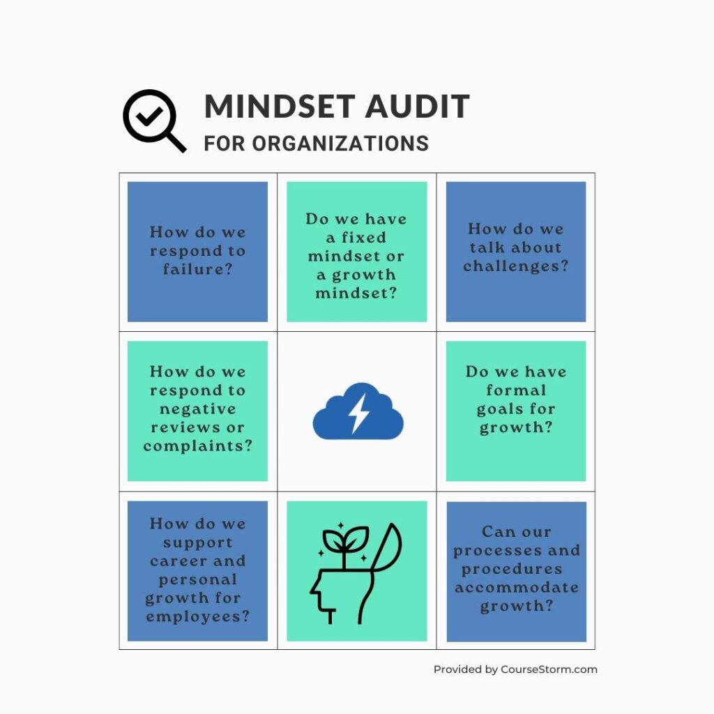 Mindset Audit Questions for Organizations